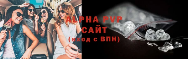 гидра Белокуриха