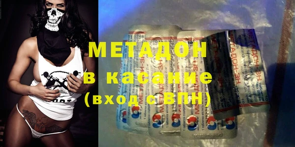 шишки Тайга