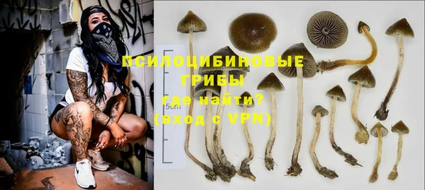 тгк Беломорск