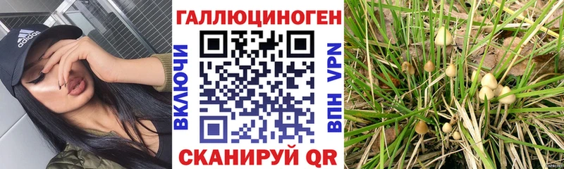 Псилоцибиновые грибы Cubensis  Красноуральск 