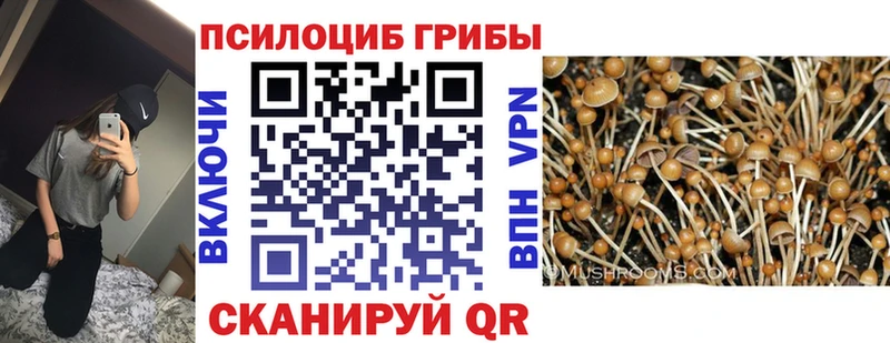 Галлюциногенные грибы MAGIC MUSHROOMS Красноуральск
